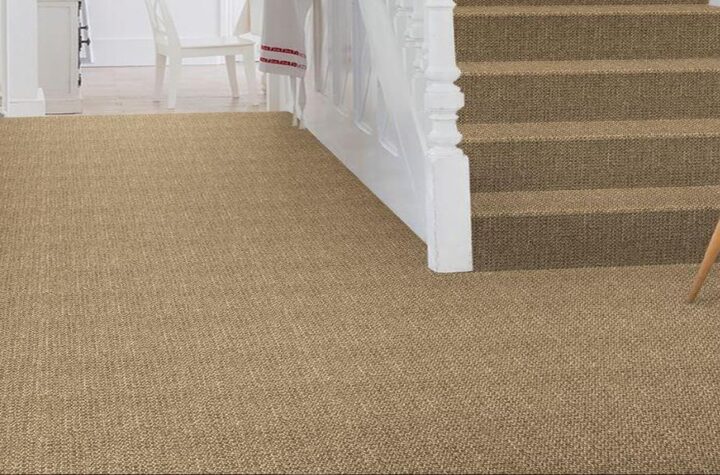 What Makes Sisal Carpets a Unique and Eco-Friendly Choice for Your Home